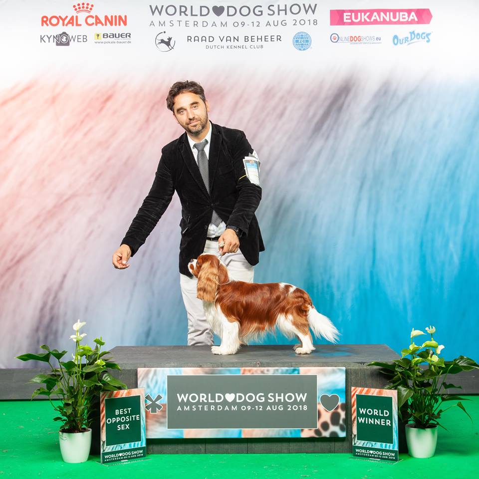 World Dog Show (Чемпионат мира собак) в 2018 году World Dog Show (Чемпионат мира собак) в 2018 году