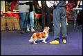 БЭСТ ИН Ю АННЕТТ'С ПАРТ ОФ СОУЛ суки класс открытый.jpg