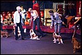 кобели класс открытый (1).jpg