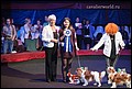 кобели класс чемпионов (24).jpg