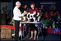 суки класс юниоров (3).jpg