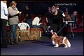 LENNARD VOM ERLENBACHER-HEMMERICH кобели класс открытый.jpg