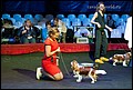 MARIAM SALIKA SOUL CH. RUS, CH CLUB  Лучшая Сука, Чемпион Клуба – 2016, BOS.jpg