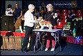 ZHESSIKA IZ SOKROVISH VINDZORA суки класс промежуточный.jpg