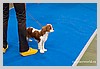 IMG_3336.JPG