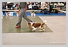 IMG_3401.JPG