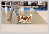 IMG_3402.JPG