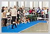IMG_3407.JPG