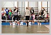 IMG_3416.JPG