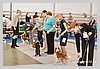 IMG_3425.JPG