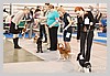IMG_3427.JPG