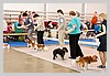 IMG_3429.JPG