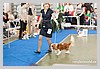 IMG_3435.JPG