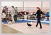 IMG_3442.JPG
