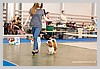 IMG_3468.JPG