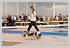 IMG_3473.JPG