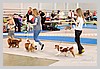 IMG_3483.JPG