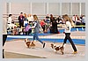 IMG_3485.JPG