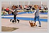 IMG_3486.JPG