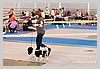 IMG_3490.JPG