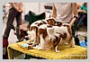 IMG_3500.JPG