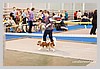 IMG_3518.JPG