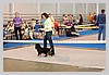IMG_3520.JPG
