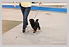 IMG_3524.JPG