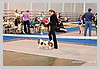IMG_3528.JPG