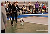 IMG_3529.JPG