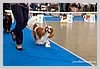 IMG_3537.JPG