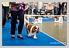 IMG_3541.JPG