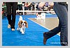 IMG_3542.JPG
