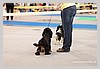 IMG_3553.JPG