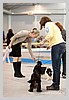 IMG_3554.JPG
