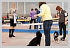 IMG_3563.JPG