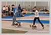 IMG_3612.JPG