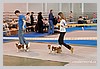 IMG_3613.JPG