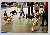 IMG_3696.JPG