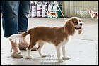 DSC_0365.jpg