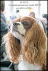 DSC_0393.jpg