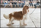 DSC_0544.jpg