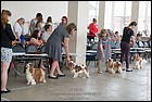 DSC_0554.jpg