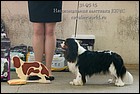 DSC_0717.jpg