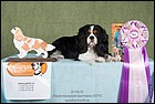 DSC_0890.jpg
