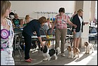 DSC_1287.jpg